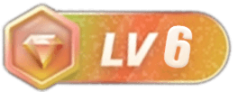 LV6 等级-LV6-星辰信安